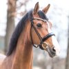 Ogłowie Anatomiczne Kavalkade „Florina”- nachrapnik angielski KavalSH4 - czarne