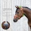 Ogłowie Anatomiczne STUBBEN Freedom II Magic Tack z funkcją Slide&Lock - czarne