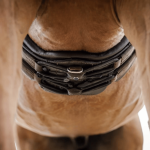 Popręgi anatomiczne: jak wybrać odpowiedni model dla Twojego konia?