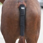 Sklep jeździecki, sprzęt jeździecki, szeroki wybór, przystępne ceny. Bryczesy, kaski, sztyblety, czapraki, derki, ogłowia, suplementy i witaminy dla koni, żywienie specjalistyczne koni, pielęgnacja koni. Ujeżdżenie, skoki, zawody konne, rekreacja, jeździectwo naturalne