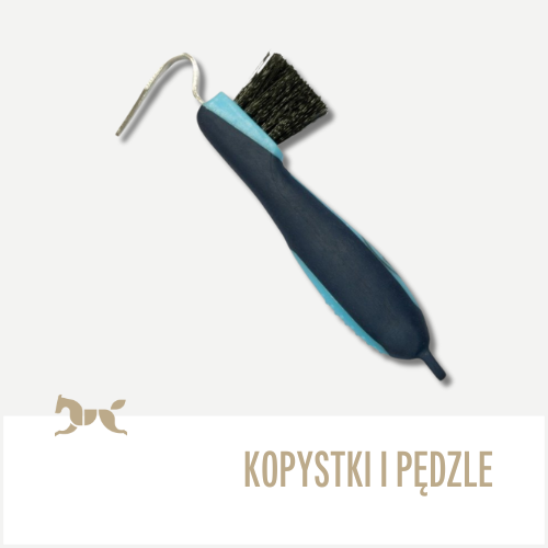 Kopystki i pędzle
