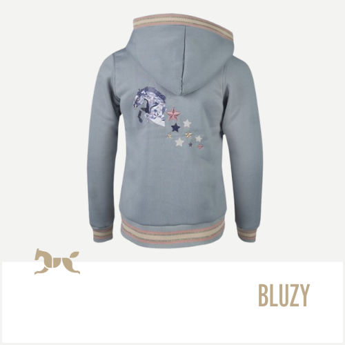 Bluzy