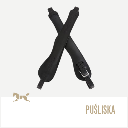 Puśliska