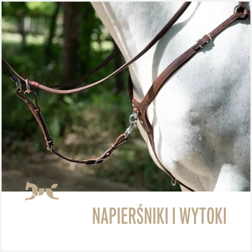 Napierśniki i wytoki