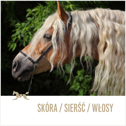 Skóra, sierść i włosy