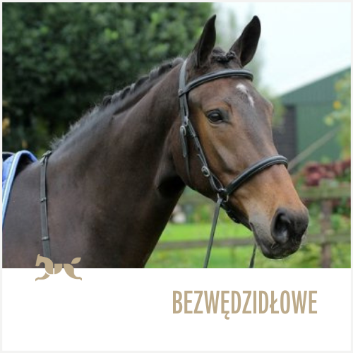 Ogłowia bezwędzidłowe
