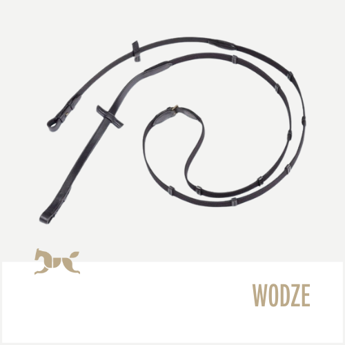 Wodze