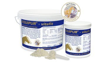 Equipur Vitafit - Witamina C 3 kg