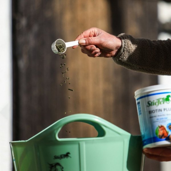Biotin Plus Pellet Stiefel biotyna