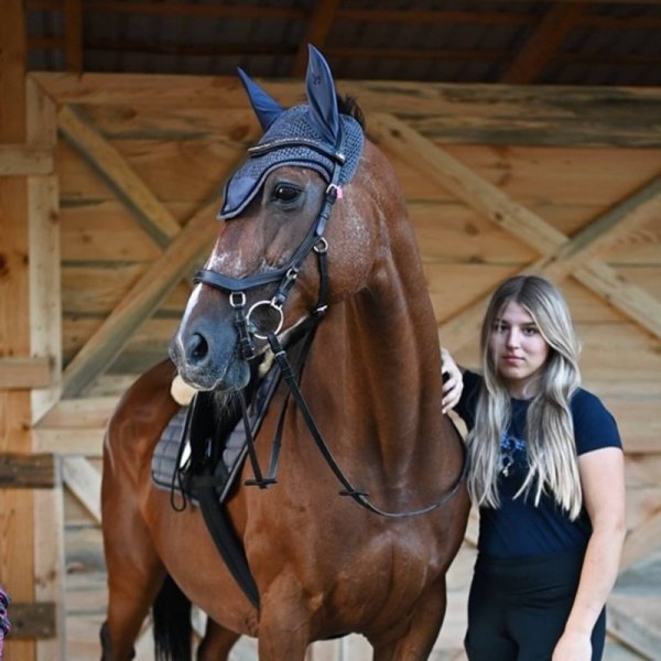 Nauszniki York Modia