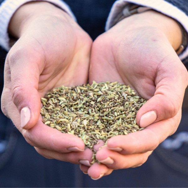 Stomach Herbs Stiefel mieszanka ziołowa