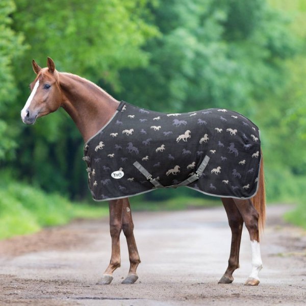 Derka Polarowa York Ismena