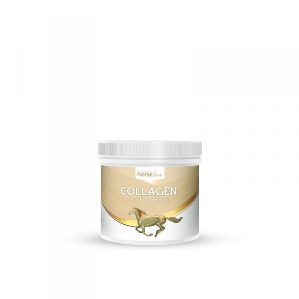 Collagen dla Koni Horse Line PRO 300g
