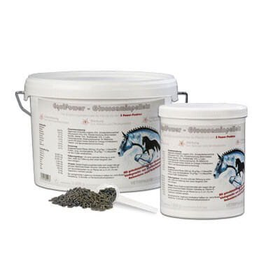 VETRIPHARM Equi Power Glucosaminpellets - glukozamina 1kg