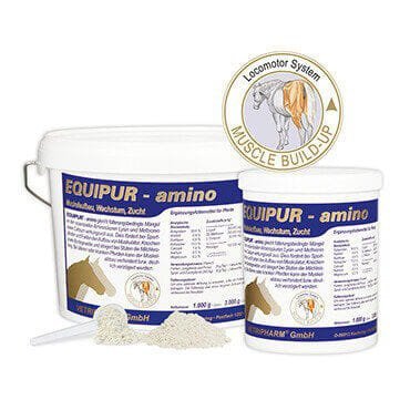 VERTRIPHARM Equipur amino - do budowy mięśni i kości 1 kg