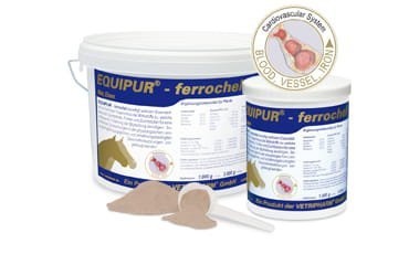 VERTRIPHARM Equipur ferrochel - żelazo