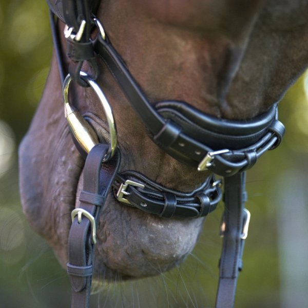 Ogłowie Anatomiczne Kavalkade CALLA - KavalSH4 - czarne