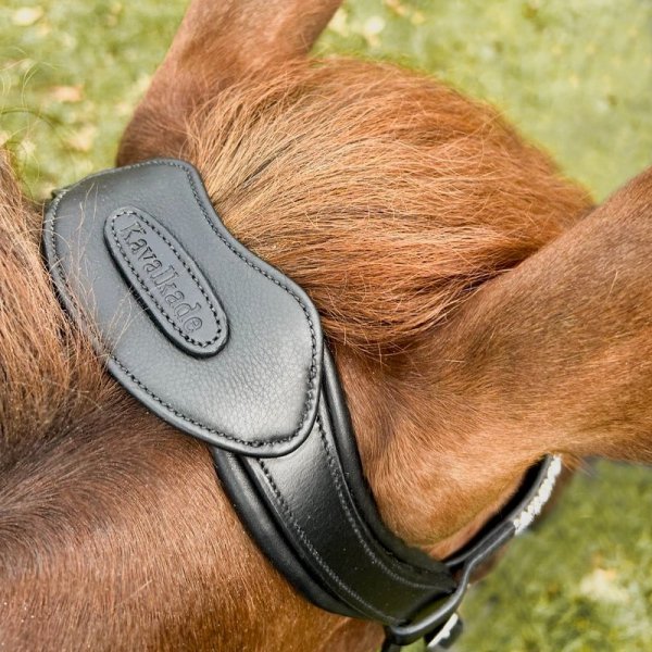 Pasek Potyliczny / Nagłówek Kavalkade Cre8 "Malou" - otwarte z mostkiem - czarne