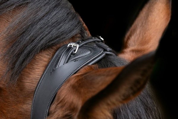 Ogłowie dla konia anatomiczne, czarny, Covalliero