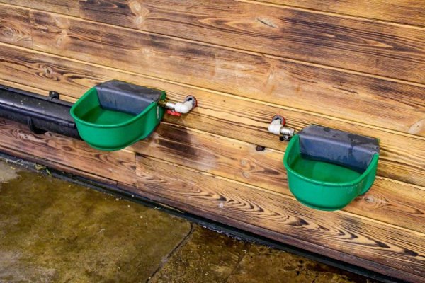 Poidło podgrzewane z zaworem pływakowym SH30, 24 V/31 W, Kerbl