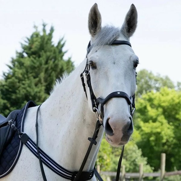 antares-precision-ogłowie-anatomiczne-skórzane-comfort-bridle