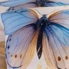 Pościel satynowa Darymex kolekcja Satynlove PREMIUM 160x200 wz. 12410