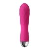 Zestaw Miniwibrator i Masażer Pro Delight Pink