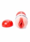 Masturbator cleo double delight 3.0