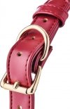 Knebel kulka do ust Blaze Elite ball gag red