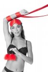 Sportsheets Sm amor bondage beginner kit