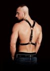 harness męski