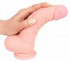 Realistyczne żylaste dildo z jądrami penis na przyssawce 20 cm
