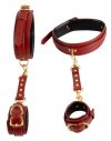 Bad Kitty hand/leg restraints