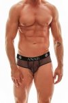 Eros brief S