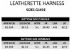 Strapon Leatherette Harness Curious