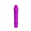Mały dyskretny wibrator Pretty Love Emily 10 funkcji 