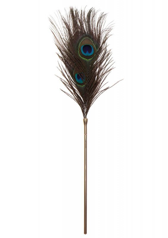 Pawie piórko do seksu igraszek Peacock Tickler