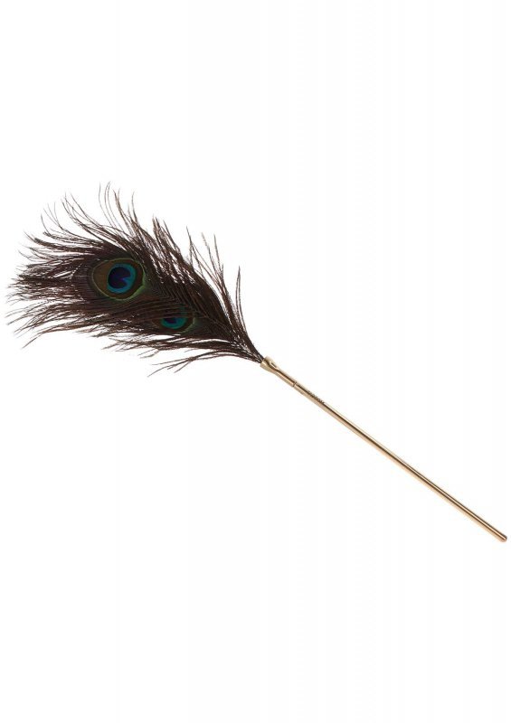 Pawie piórko do seksu igraszek Peacock Tickler