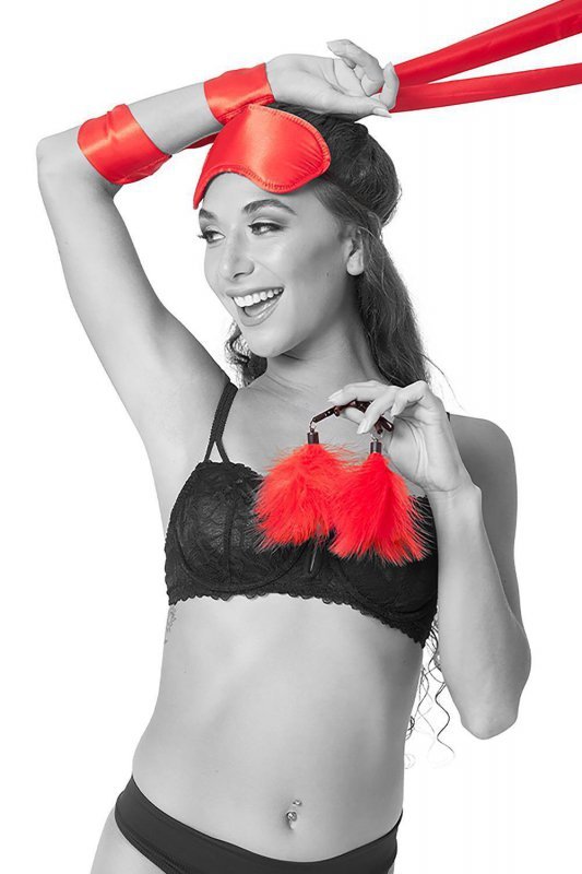 Sportsheets Sm amor bondage beginner kit