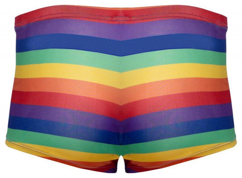 Seksowne bokserki męskie tęcza Men's Boxer Briefs Rainbow XL
