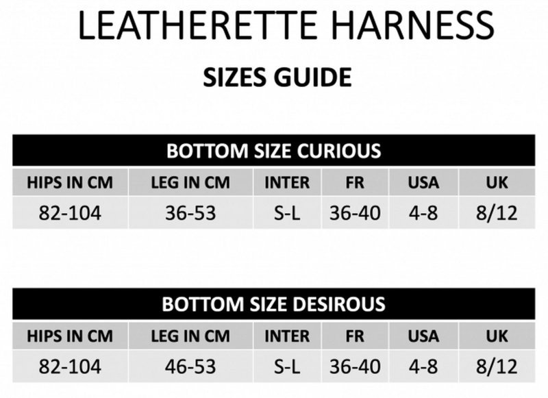 Strapon Leatherette Harness Curious