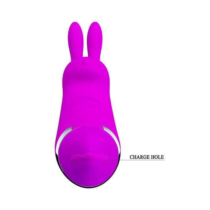 Pretty Love - Bunny usb 12 functions
