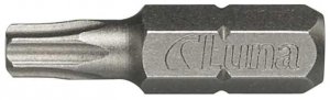 Groty Torx TX25 2 szt.