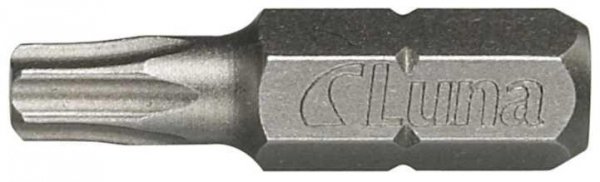 Groty Torx TX25 2 szt.
