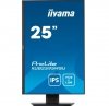 Monitor 25 cali XUB2595WSU-B5 IPS.PIVOT.16:10.USB.DP.HDMI.VGA.2x2W.  300(cd/m2).HAS(150mm)