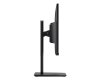 Monitor PRO MP251P   24.5 cala/LED/FHD/Flat/100Hz/Czarny
