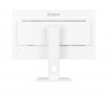Monitor 27 cali XUB2797QSU-W2,IPS,HDMI,DP,100Hz,QHD,300cd,(5y)
