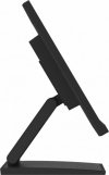 Monitor 24 cale T2454MSC-B2AG 10 PKT. POJ,IPS,HDMI,DP,FHD,300cd,4ms,  2x2W