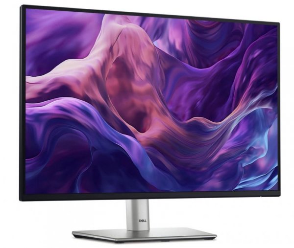 Monitor 24 cale P2425E 16:10 WUXGA/HDMI/USBC/DP/RJ45/USB/3Y