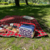 Mini lodówka turystyczna 5L KAMAI EDA wzór kwiat wiśni, lunchox na wkłady mrożące -  waniliowy korpus, czerwona rączka, błękitna